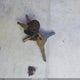 4YDF3302921204200 2002 Keystone Tailgator 330 auction photo thumbnail 11