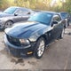 1ZVBP8EN6A5124105 2010 Ford Mustang V6/V6 Premium auction photo thumbnail 2