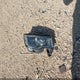1C4RJEBG9KC851940 2019 Jeep Grand Cherokee Limited 4X2 auction photo thumbnail 12