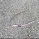 4T1BF1FK0GU130946 2016 Toyota Camry Se auction photo thumbnail 12