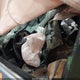 5J6RE48708L041833 2008 Honda Cr-V Ex-L auction photo thumbnail 5