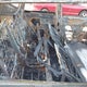 5N1AT2MV1GC848728 2016 Nissan Rogue Sl auction photo thumbnail 8