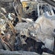 JF2GTAEC3M8670309 2021 Subaru Crosstrek Premium auction photo thumbnail 5