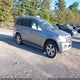 4JGBF7BE8AA602144 2010 Mercedes-Benz Gl 450 4Matic auction photo thumbnail 1