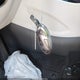 5NMJBCDEXSH525706 2025 Hyundai Tucson Sel auction photo thumbnail 11