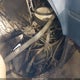 CGM34A4145177 1980 Chevrolet Van auction photo thumbnail 10