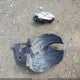 2T1BU4EE6AC240900 2010 Toyota Corolla Le auction photo thumbnail 12