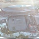 1NXBU40EX9Z163871 2009 Toyota Corolla Le auction photo thumbnail 10