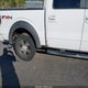 1FTPW14V19FA01791 2009 Ford F-150 Fx4/King Ranch/Lariat/Platinum/Xl/Xlt auction photo thumbnail 6