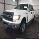 1FTFW1EF0BKD86678 2011 Ford F-150 Xlt auction photo thumbnail 2