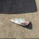 5TDZK22CX8S205905 2008 Toyota Sienna Xle auction photo thumbnail 12