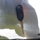 1FTRF12W49KA89148 2009 Ford F-150 Stx/Xl/Xlt auction photo thumbnail 11
