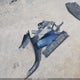 5TDBKRFHXGS334676 2016 Toyota Highlander Le V6 auction photo thumbnail 12