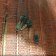 1GNDM19ZXRB141258 1994 Chevrolet Astro auction photo thumbnail 11