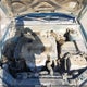 KMHDN46DX6U261511 2006 Hyundai Elantra Gls/Limited auction photo thumbnail 10