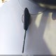 4S4BP61C697314980 2009 Subaru Outback 2.5I auction photo thumbnail 11