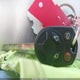 1FAHP3M21CL275901 2012 Ford Focus Sel auction photo thumbnail 11