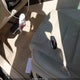 WVGEF9BP5ED012160 2014 Volkswagen Touareg 3.6L Lux auction photo thumbnail 11