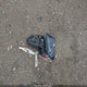 5YFB4MDE6RP089313 2024 Toyota Corolla Le auction photo thumbnail 12