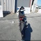 JH2SC59088M002350 2008 Honda Cbr1000 Rr auction photo thumbnail 4