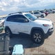 1C4PJMBB3HD236759 2017 Jeep Cherokee Trailhawk L Plus 4X4 auction photo thumbnail 13