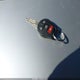 3N1AB7AP1FY372600 2015 Nissan Sentra S auction photo thumbnail 11