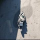 1GNERFKW6MJ109862 2021 Chevrolet Traverse Fwd Ls auction photo thumbnail 12