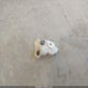 1G2WJ52M9SF280641 1995 Pontiac Grand Prix Se auction photo thumbnail 12