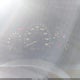 1HGCM56887A089883 2007 Honda Accord 2.4 Ex auction photo thumbnail 7