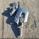 3TMCZ5AN9HM089795 2017 Toyota Tacoma Trd Off Road auction photo thumbnail 12