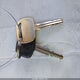 5TENX22N77Z404607 2007 Toyota Tacoma auction photo thumbnail 11