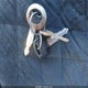 1HFSC0202CA216790 1982 Honda Gl1100 auction photo thumbnail 11
