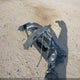 JTJGJRDZ0M2152876 2021 Lexus Nx 300H auction photo thumbnail 12
