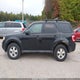 1FMCU9D75BKC46607 2011 Ford Escape Xlt auction photo thumbnail 12