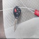 JTNBE46K773023497 2007 Toyota Camry Le auction photo thumbnail 11