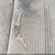 1FTCR10X8MUE50435 1991 Ford Ranger auction photo thumbnail 11