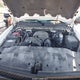 1GCEK19C19Z156494 2009 Chevrolet Silverado 1500 Work Truck auction photo thumbnail 10