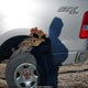 1FTRX14WX5FA25855 2005 Ford F-150 Stx/Xl/Xlt auction photo thumbnail 6