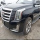 1GYS3HKJ9LR269757 2020 Cadillac Escalade Esv 2Wd Luxury auction photo thumbnail 6