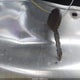 3D7KS28A58G238645 2008 Dodge Ram 2500 St/Sxt auction photo thumbnail 11