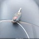 3N1CE2CP8GL388548 2016 Nissan Versa Note Sv auction photo thumbnail 11