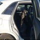WA1EFCFS6FR011923 2015 Audi Q3 2.0T Premium Plus auction photo thumbnail 8