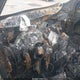 5XYPGDA30GG056728 2016 Kia Sorento 2.4L Lx auction photo thumbnail 7
