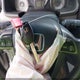 5FNYF3H49EB022954 2014 Honda Pilot Ex auction photo thumbnail 11