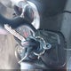 1GTR2VE35BZ404041 2011 GMC Sierra 1500 Sle auction photo thumbnail 11