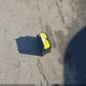 4T1BD1EB0DU017288 2013 Toyota Avalon Hybrid Limited auction photo thumbnail 12
