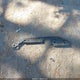 1GNDT13S622278900 2002 Chevrolet Trailblazer Ltz auction photo thumbnail 12