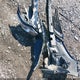 2GNAXUEVXL6217957 2020 Chevrolet Equinox Awd Lt 1.5L Turbo auction photo thumbnail 12