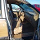 1G4BR82P3SR423110 1995 Buick Roadmaster Estate auction photo thumbnail 5
