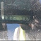 1G1155S32EU144801 2014 Chevrolet Impala 2Lz auction photo thumbnail 9